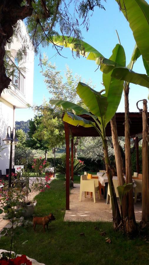 Rosadipepe Daire Ripatransone Dış mekan fotoğraf